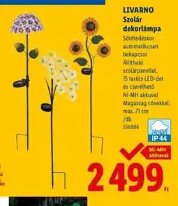 Lidl LIVARNO Szolár dekorlámpa ajánlat