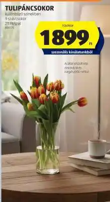 ALDI Tulipáncsokor ajánlat