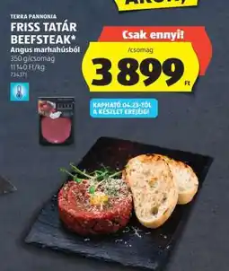 ALDI Terra Pannonia Friss Tatár Beefsteak ajánlat
