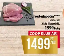 Coop Sertéslapocka ajánlat