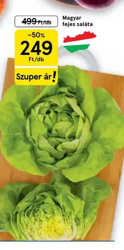 Tesco Magyar fejes saláta ajánlat