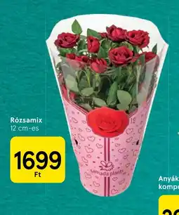 Tesco Rzsa-mix ajánlat