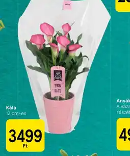 Tesco Kála ajánlat