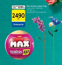 Tesco ZURU MAX Garden szálas virág ajánlat