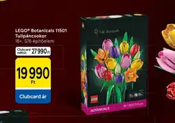 Tesco LEGO® Botanicals Tulipáncsokor ajánlat