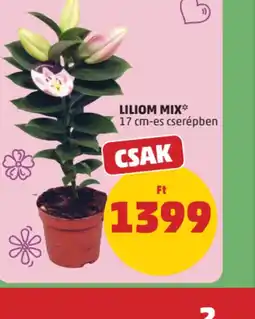 PENNY LILIOM MIX ajánlat