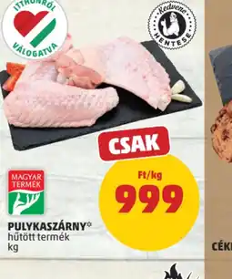 PENNY PULYKASZÁRNY ajánlat