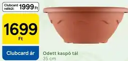 Tesco Odett kaspó tál ajánlat