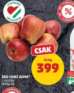 PENNY RED CHIEF ALMA ajánlat
