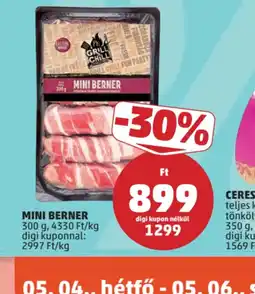 PENNY PICK MINI BERNER ajánlat