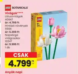 Spar LEGO BOTANICALS Ltuszvirágok ajánlat