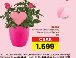 Spar Rzsa ajánlat