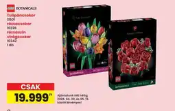 Interspar Tulipáncsokor ajánlat