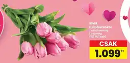 Interspar SPAR tulipáncsokor ajánlat