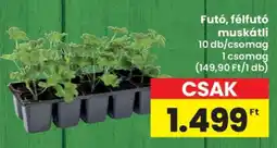 Interspar Futó, félfutó muskátli ajánlat