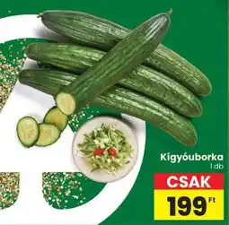 Spar Kígyóuborka ajánlat