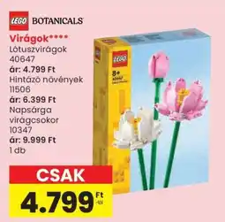 Spar Lótuszvirágok 40647 ajánlat