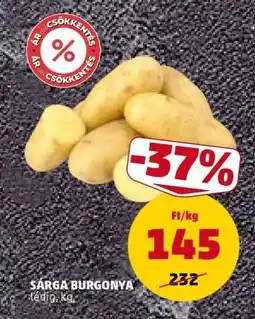 PENNY Sárga Burgonya ajánlat
