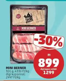 PENNY MINI BERNER ajánlat