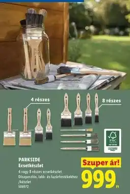 Lidl PARKSIDE Ecsetkészlet ajánlat