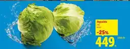 Lidl Jégsaláta ajánlat
