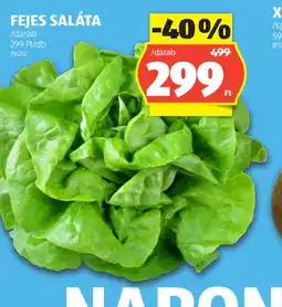 ALDI FEJES SALÁTA ajánlat