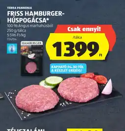 ALDI TERRA PANNONIA HAMBURGER-HÚSPOGÁCSA ajánlat