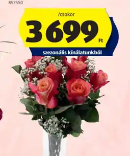 ALDI KÜLÖNLEGES RZSACSOMAG ajánlat