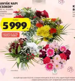 ALDI ANYÁK NAPI CSOKOR ajánlat