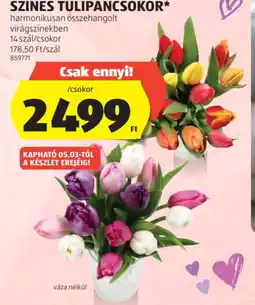 ALDI SZÍNES TULIPÁNCSOKOR ajánlat