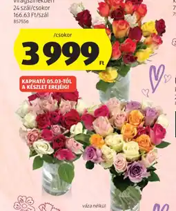 ALDI SZÍNES RZSACSOKOR ajánlat