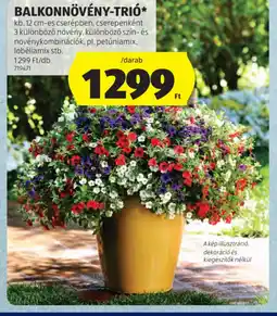 ALDI BALKONNÖVÉNY-TRI ajánlat