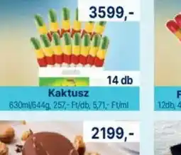 Family Frost Kaktusz ital ajánlat