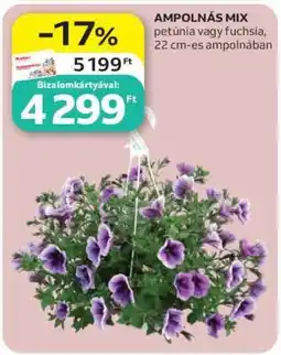 Auchan AMPOLNÁS MIX ajánlat