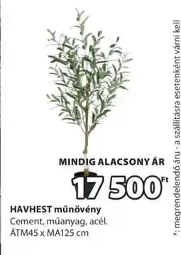JYSK HAVHEST műnövény ajánlat