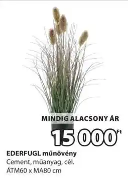 JYSK EDERFUGL műnövény ajánlat