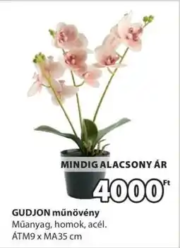 JYSK GUDJON műnövény ajánlat