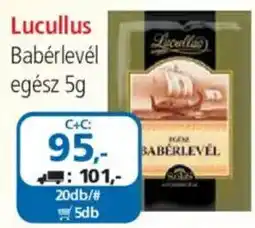 ÁRKLUB Lucullus Babérlevél ajánlat