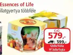 ÁRKLUB Essences Of Life illatgyertya ajánlat