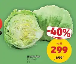 PENNY Jégsaláta ajánlat
