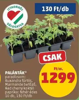 PENNY Palánták ajánlat