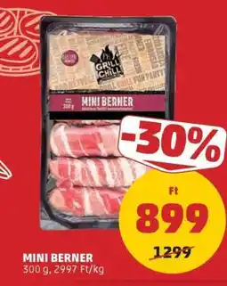 PENNY MINI BERNER ajánlat