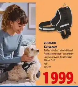 Lidl zoofari Kutyahám ajánlat