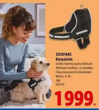 Zoofari Kutyahám