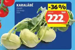 ALDI KARALÁBÉ ajánlat