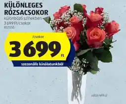 ALDI KÜLÖNLEGES RÓZSACSOKOR ajánlat