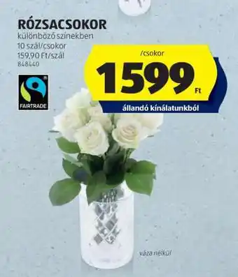 RÓZSACSOKOR