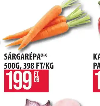SÁRGARÉPA