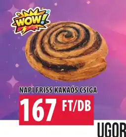Coop KAKAS CSIGA ajánlat