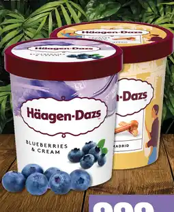 Family Diszkont Häagen-Dazs Jégkrém ajánlat